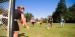 Field Sports