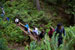 Hiking
