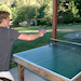 Ping Pong
