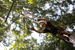Trapeze Jump